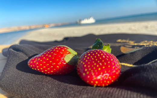 whitebeachsnack2.jpg